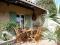 Location maison avec cour et terrasse sur villeneuve les avignon