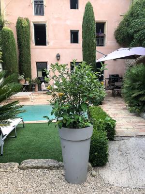 Maison climatis�e avec jardin et bassin � Barbentane